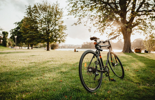 Ein Fahrrad steht in einem Stadtpark.