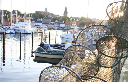 Fischreusen und ein Hafenbecken mit Booten und der Stadt im Hintergrund.